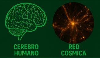 El Cerebro y el Cosmos: Una Semejanza Sorprendente