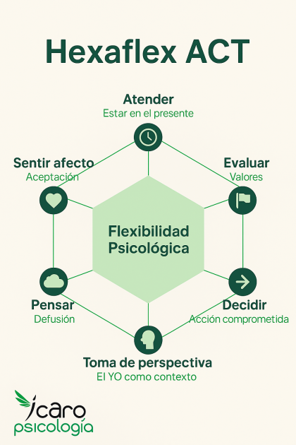 Hexaflex