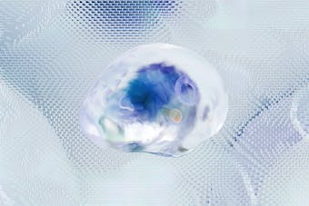 Entrenar la corteza prefrontal para modular la respuesta de las amígdalas